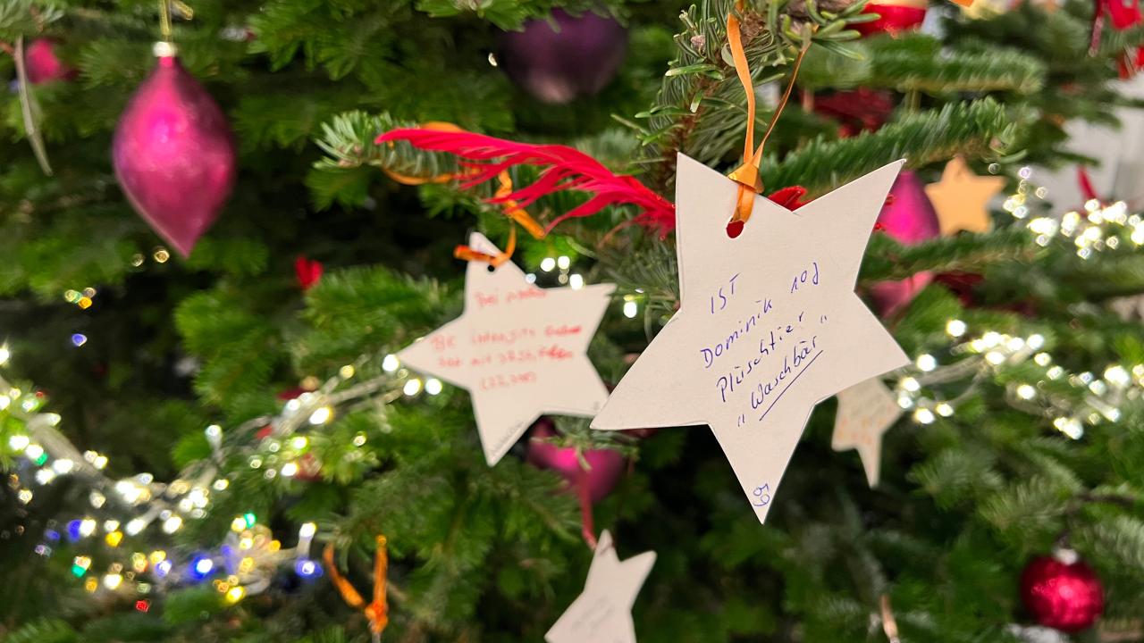 Details des Wunschbaums im Kasino Leverkusen mit den Wunschsternen