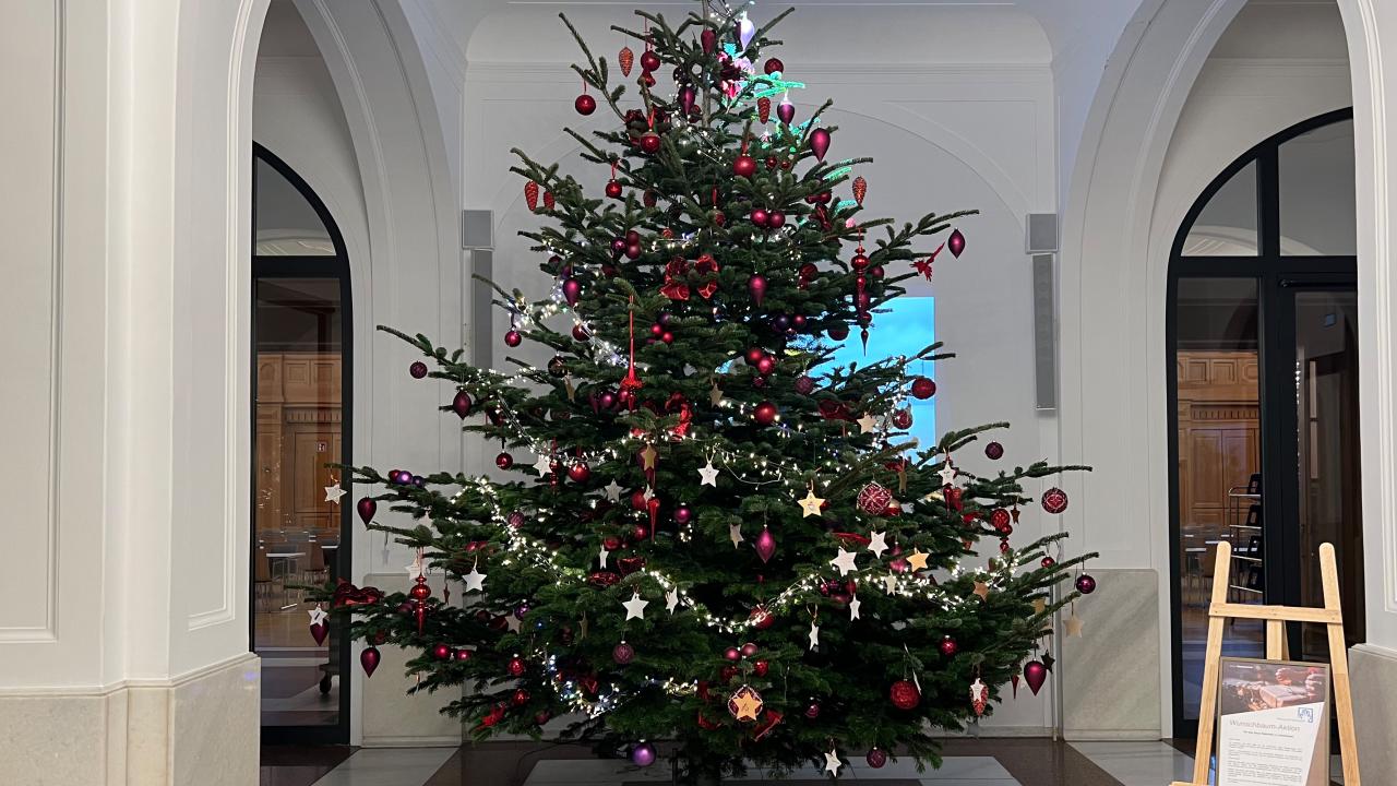 Wunschbaum im Kasino