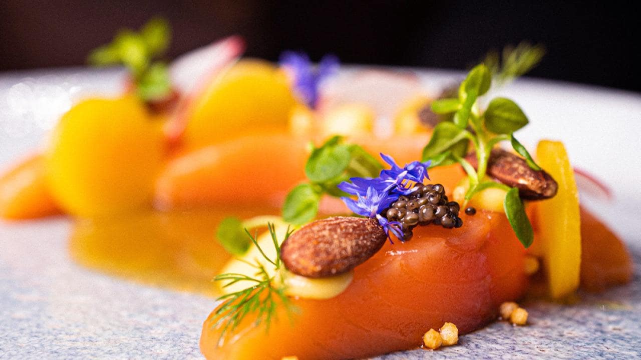Lachs Starter 
