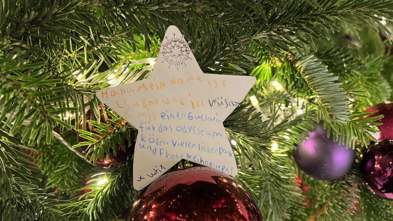 Wunschbaum_Wunsch