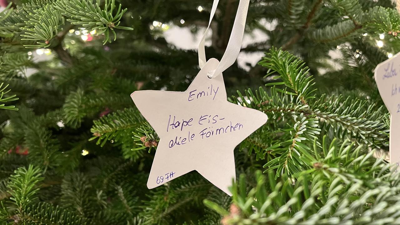 Wunschbaum_wunsch2
