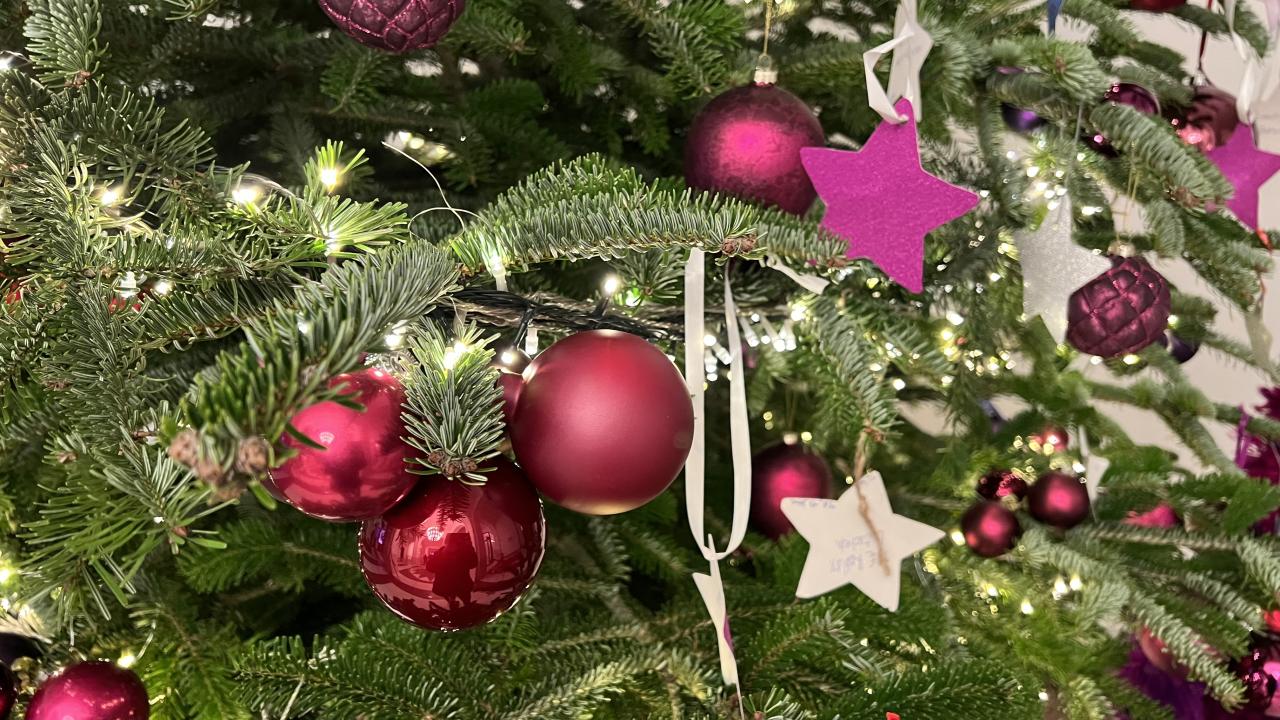 Wunschbaum_2023